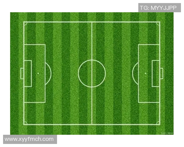 全球最大的足球场揭秘及其背后的历史与文化意义 全球最大的足球场揭秘及其背后的历史与文化意义