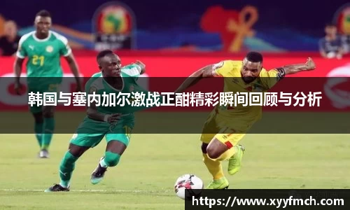 韩国与塞内加尔激战正酣精彩瞬间回顾与分析
