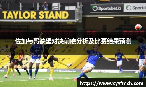 db电竞官网入口